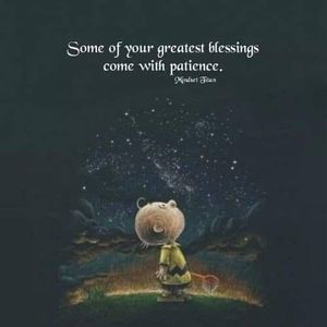 Meet your Posher, Seana